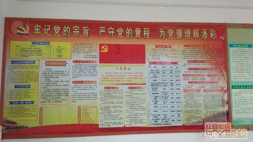 卑鄙的小妖精